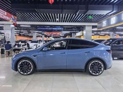 Tesla Model Y 2022 Performance All-Wheel Drive - ფოტო 3