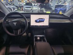 Tesla Model Y 2022 Performance All-Wheel Drive - ფოტო 6