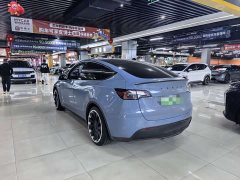 Tesla Model Y 2022 Performance All-Wheel Drive - ფოტო 8