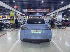 Tesla Model Y 2022 Performance All-Wheel Drive - ფოტო 9