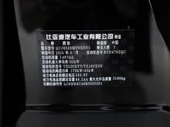 Denza BYD Denza D9 DM-i 980 Four-Wheel Drive Premium - ფოტო 14