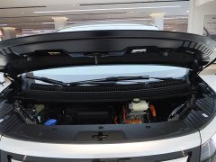 Denza BYD Denza D9 DM-i 980 Four-Wheel Drive Premium - ფოტო 15
