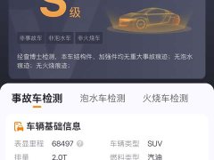 Volkswagen Lanxun 330TSI Luxury Touring Shared Edition - ფოტო 10