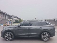 Volkswagen Lanxun 330TSI Luxury Touring Shared Edition - ფოტო 5