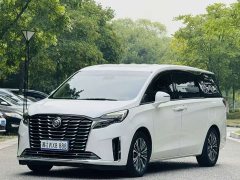 Buick GL8 2020 ES Land Executive 653T Luxury - ფოტო 1