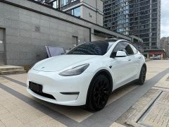 Tesla Model Y Long Range All-Wheel Drive - ფოტო 1