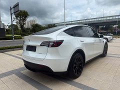 Tesla Model Y Long Range All-Wheel Drive - ფოტო 11