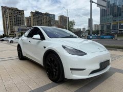 Tesla Model Y Long Range All-Wheel Drive - ფოტო 3