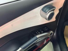 BYD Yuan Plus Champion Edition 510KM Transcendent - ფოტო 6