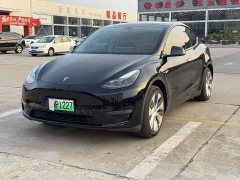 Tesla Model Y Long Range All-Wheel Drive - ფოტო 1