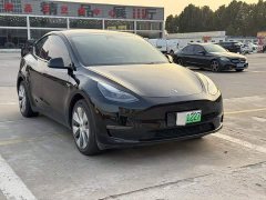 Tesla Model Y Long Range All-Wheel Drive - ფოტო 3