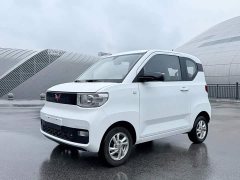 Wuling Hongguang MINIEV 2020 Zizai Trim Ternary Lithium - ფოტო 1