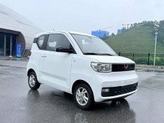 Wuling Hongguang MINIEV 2020 Zizai Trim Ternary Lithium - ფოტო 3