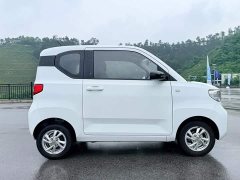 Wuling Hongguang MINIEV 2020 Zizai Trim Ternary Lithium - ფოტო 4