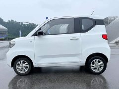 Wuling Hongguang MINIEV 2020 Zizai Trim Ternary Lithium - ფოტო 6