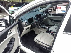 BYD Yuan Pro Lifetime Edition - ფოტო 4