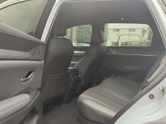 BYD Song Pro New Energy DM-i 220KM Transcendent - ფოტო 8