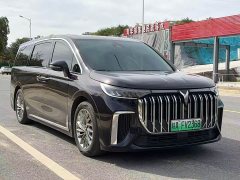 Voyah Lantu Dreamchaser 2024 PHEV Ultra-Long Range Flagship - ფოტო 3