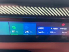 Lynk & Co Geely Lynk & Co 900 2.0T Ultra 6-Seater - ფოტო 3