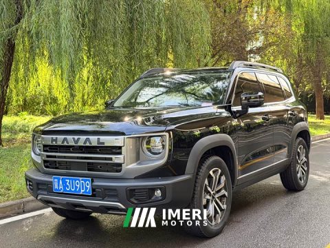 2024 Great Wall Dachshund 1.5T DCT Border Collie Edition - ავტომობილი ჩინეთიდან