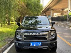 Great Wall Dachshund 1.5T DCT Border Collie Edition - ფოტო 2