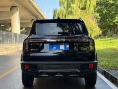 Great Wall Dachshund 1.5T DCT Border Collie Edition - ფოტო 6