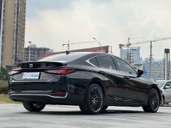 Lexus ES 300h Premium Edition - ფოტო 6