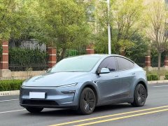 Tesla Model Y Long Range All-Wheel Drive - ფოტო 1