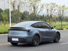 Tesla Model Y Long Range All-Wheel Drive - ფოტო 9