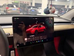 Tesla Model Y 2022 Performance All-Wheel Drive - ფოტო 11