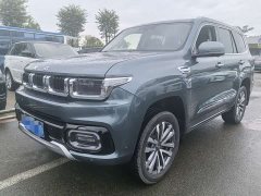 Beijing Jeep BJ60 2022 2.0T May Day Edition 7-Seater - ფოტო 1