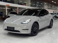 Tesla Model Y Performance All-Wheel Drive - ფოტო 1
