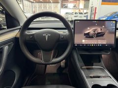 Tesla Model Y Performance All-Wheel Drive - ფოტო 13