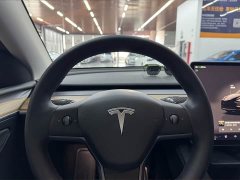 Tesla Model Y Performance All-Wheel Drive - ფოტო 15