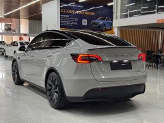 Tesla Model Y Performance All-Wheel Drive - ფოტო 3