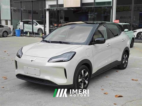 2024 Wuling Binguo PLUS 330km 5-Seater - ავტომობილი ჩინეთიდან