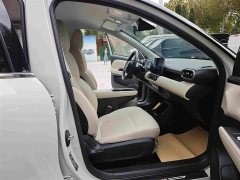Wuling Binguo PLUS 330km 5-Seater - ფოტო 10