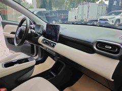 Wuling Binguo PLUS 330km 5-Seater - ფოტო 11