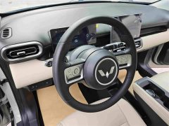 Wuling Binguo PLUS 330km 5-Seater - ფოტო 12