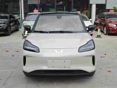 Wuling Binguo PLUS 330km 5-Seater - ფოტო 2