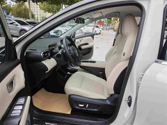 Wuling Binguo PLUS 330km 5-Seater - ფოტო 6