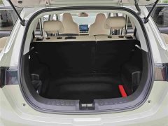 Wuling Binguo PLUS 330km 5-Seater - ფოტო 8