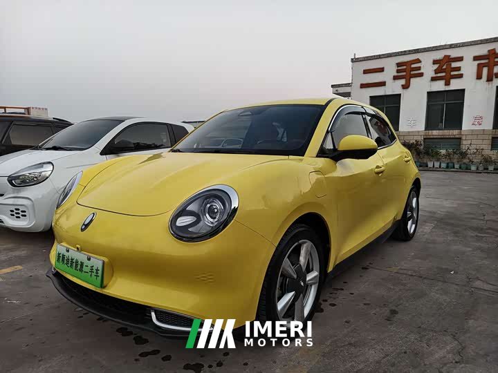 ORA Good Cat 2021 400km Standard Range Venus Edition Ternary Lithium Battery - ავტომობილი ჩინეთიდან
