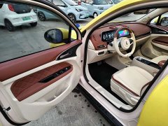 ORA Good Cat 2021 400km Standard Range Venus Edition Ternary Lithium Battery - ფოტო 5
