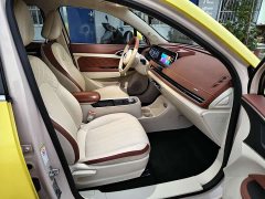 ORA Good Cat 2021 400km Standard Range Venus Edition Ternary Lithium Battery - ფოტო 9