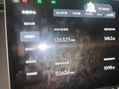 Li Auto L9 Max - ფოტო 13