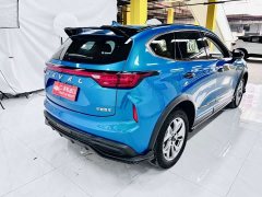 Haval Chitu Jingxiang Edition 1.5T Purple Copper Rabbit - ფოტო 5