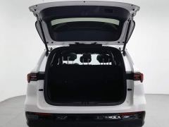 Ford Lingrui EcoBoost 170 Premium Edition - photo 16