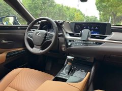 Lexus ES 200 Excellence Edition - ფოტო 13