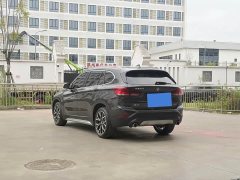 BMW X1 xDrive25Li Premium - ფოტო 6